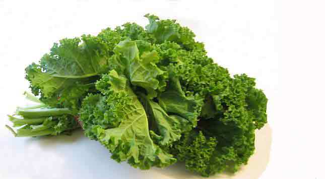Kale, Curly Kale, or Scottish Kale